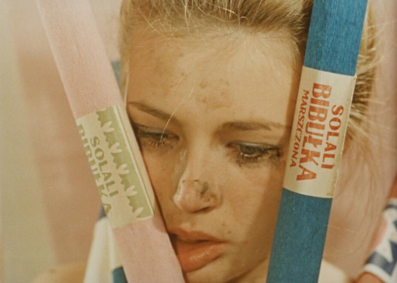 Doctoral Scholarship at the University of Innsbruck, 2026–2028