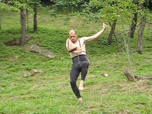 Animals Have No Fate