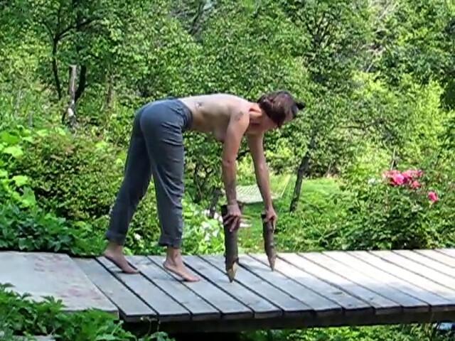 Animals Have No Fate