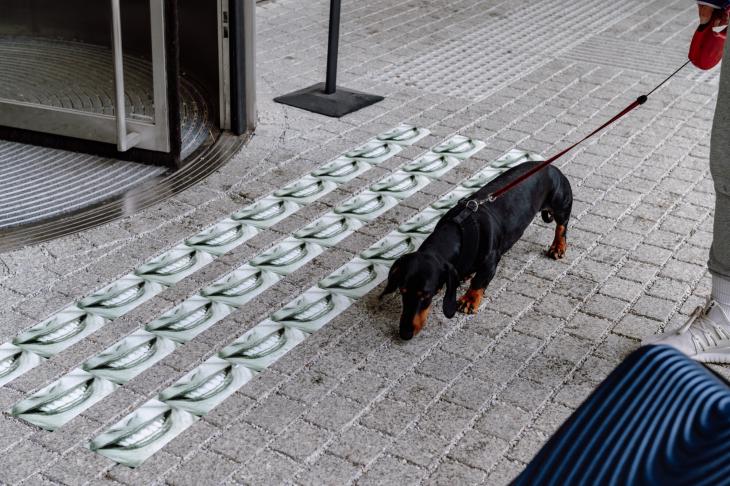 The Cynics Republic – Plac Defilad, Museum for Modern Art in Warsaw, 10 May to 8 June 2025, Pho ...